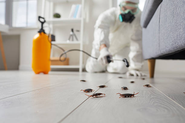 Commercial Kitchen Cockroach Control in Donaldsonville